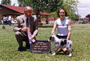 Zoe winning Best of Breed Puppy under Judge Bruce Voran at NAASA, May 24, 1997.       